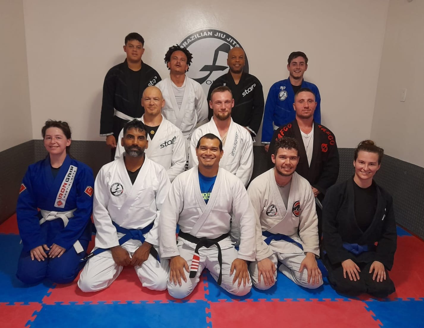 Formiga BJJ