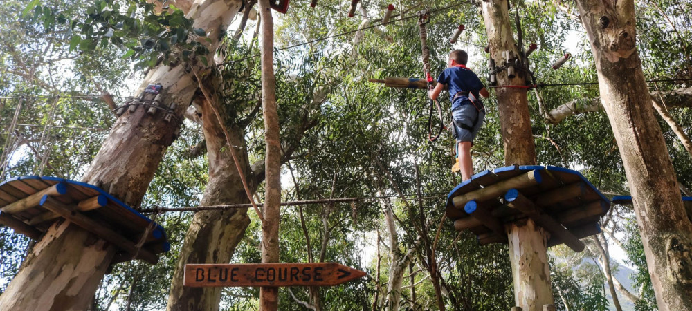 Acrobranch Play Park Stellenbosch