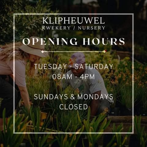 Klipheuwel Nursery